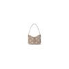 LV  CarryAll PM