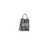 Mini Vertical Dior Book Tote