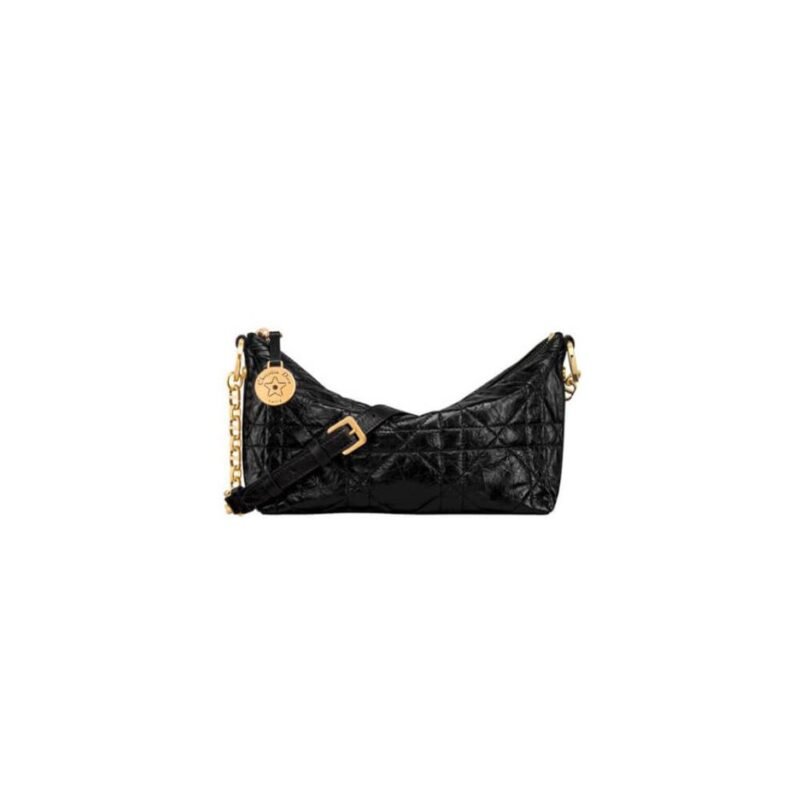 Diorstar Hobo Bag with Chain