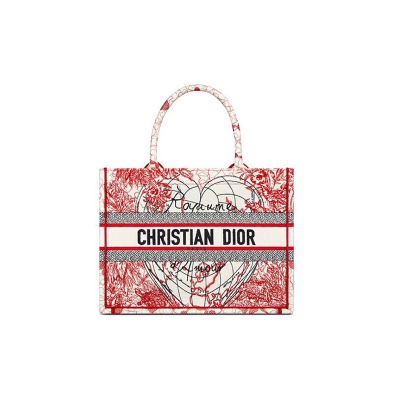 SMALL DIOR BOOK TOTE
