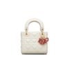 MINI LADY DIOR DIORAMOUR BAG
