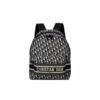 DIORTRAVEL BACKPACK
