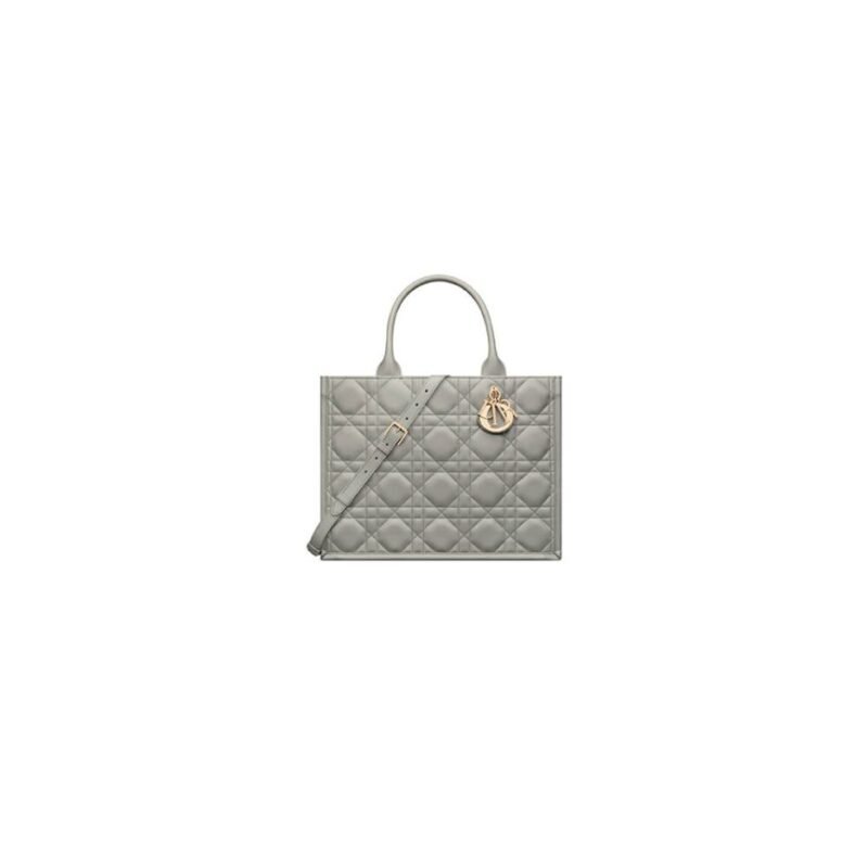 Dior Medium Dior Book Tote