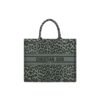 SMALL DIOR BOOK TOTE
